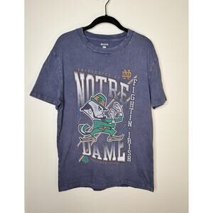 Notre Dame Fighting Irish ND Blue Gold Hollister Relaxed T-shirt - Size Small